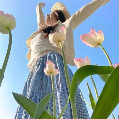 阿尔忒弥斯计划